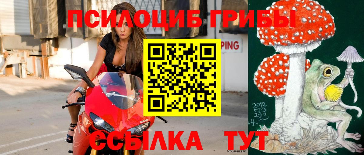 Галлюциногенные грибы мицелий  Вход с VPN  Стрежевой 