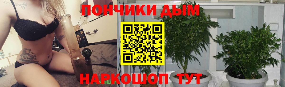 Стрежевой  Бошки Шишки MAZAR  Конопля ГИДРОПОН  Вход с VPN 